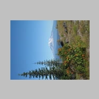 IMG_2462.JPG