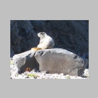 IMG_2474.JPG