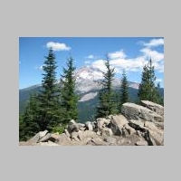 IMG_5950.jpg