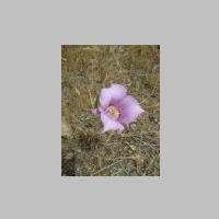 IMG_0757.jpg