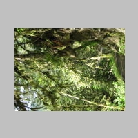 airTree2.jpg