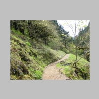 theTrail.jpg