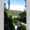 meadow2.jpg