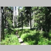 trail.jpg