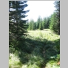McIntyreMeadow.jpg