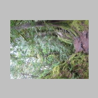 IMG_4200.JPG
