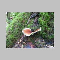 IMG_4210.JPG