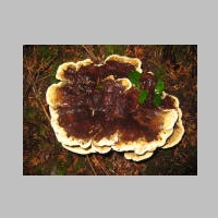 IMG_4090.JPG