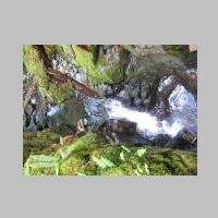 IMG_4100.JPG