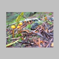 IMG_4286.JPG
